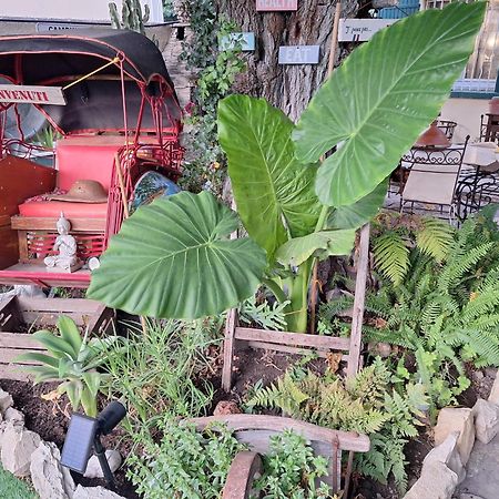 Site Paradis Rue Colibri อาวีญง ภายนอก รูปภาพ