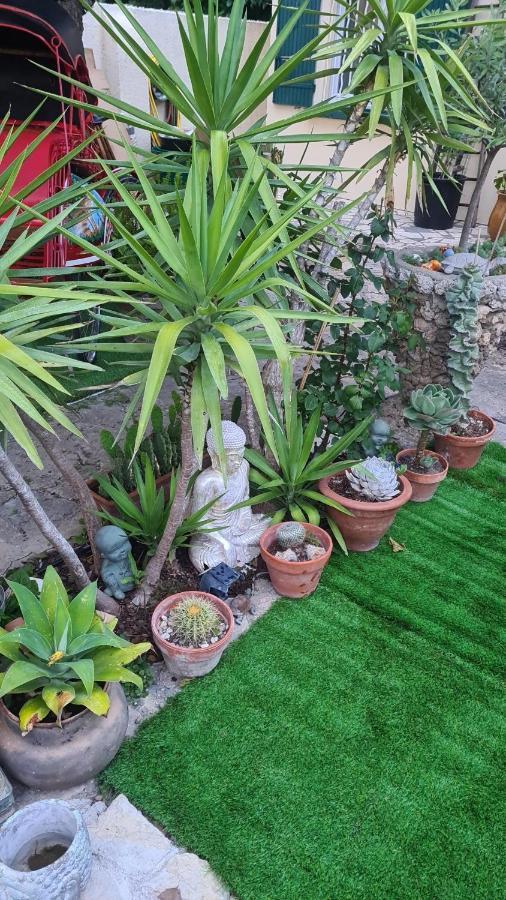 Site Paradis Rue Colibri อาวีญง ภายนอก รูปภาพ