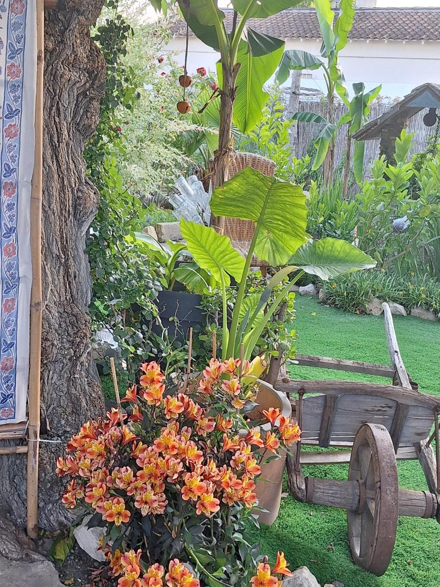 Site Paradis Rue Colibri อาวีญง ภายนอก รูปภาพ