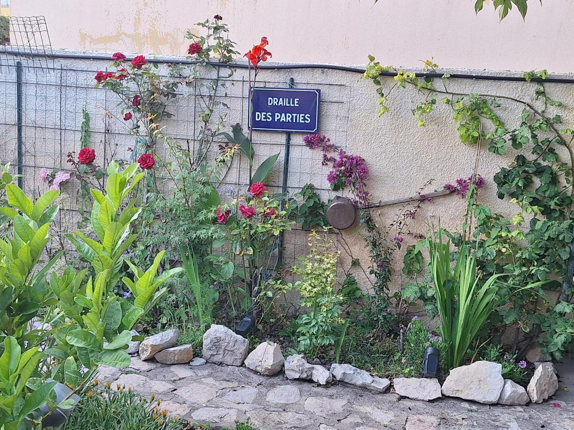 Site Paradis Rue Colibri อาวีญง ภายนอก รูปภาพ
